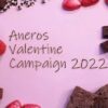 アネロスバレンタインキャンペーン2022画像