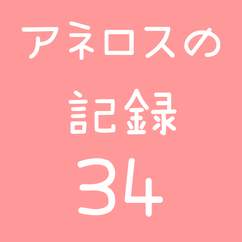 アネロスの記録34サムネイル