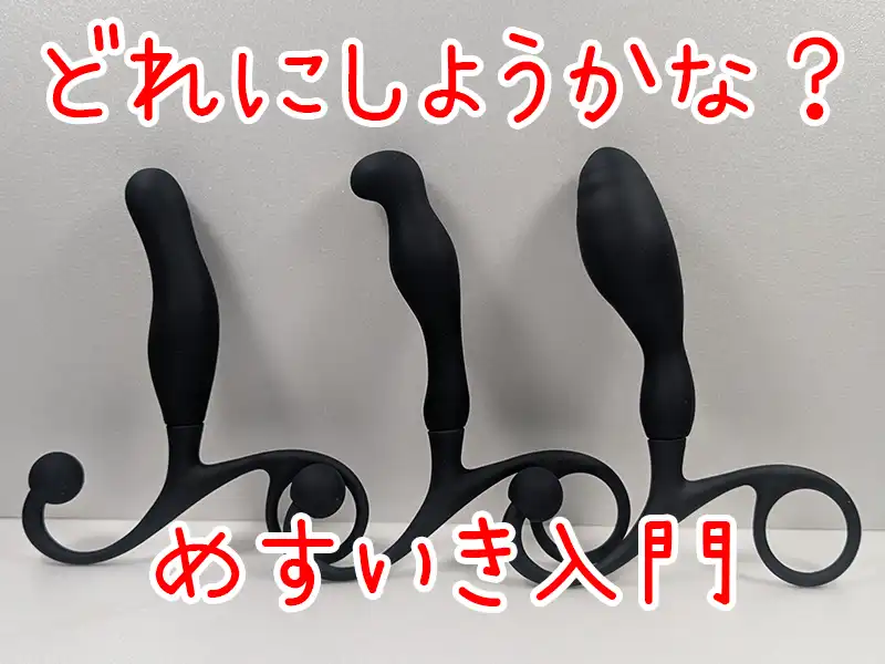 エネマグラ[めすいき入門]画像