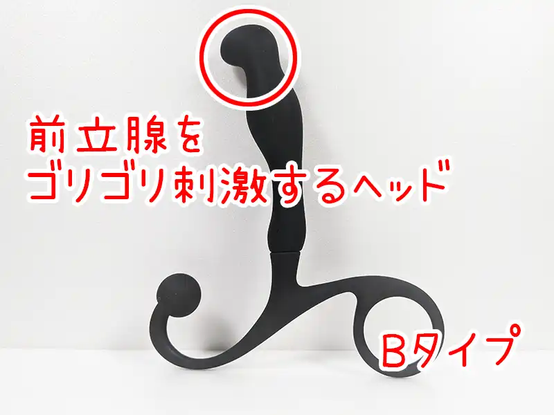 めすいき入門Bタイプ画像