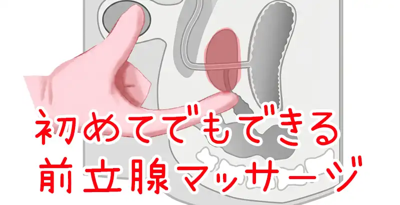 初めてでもできる前立腺マッサージ