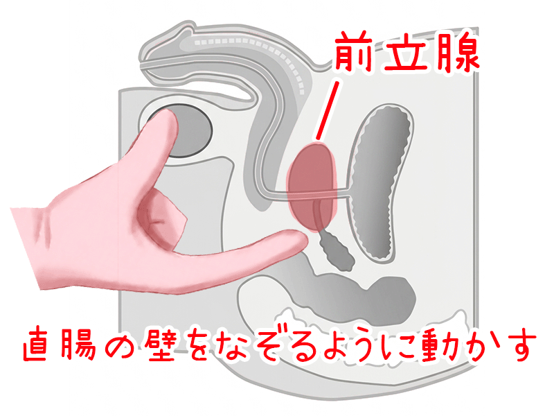 指をアナルに挿入して、前立腺を探す