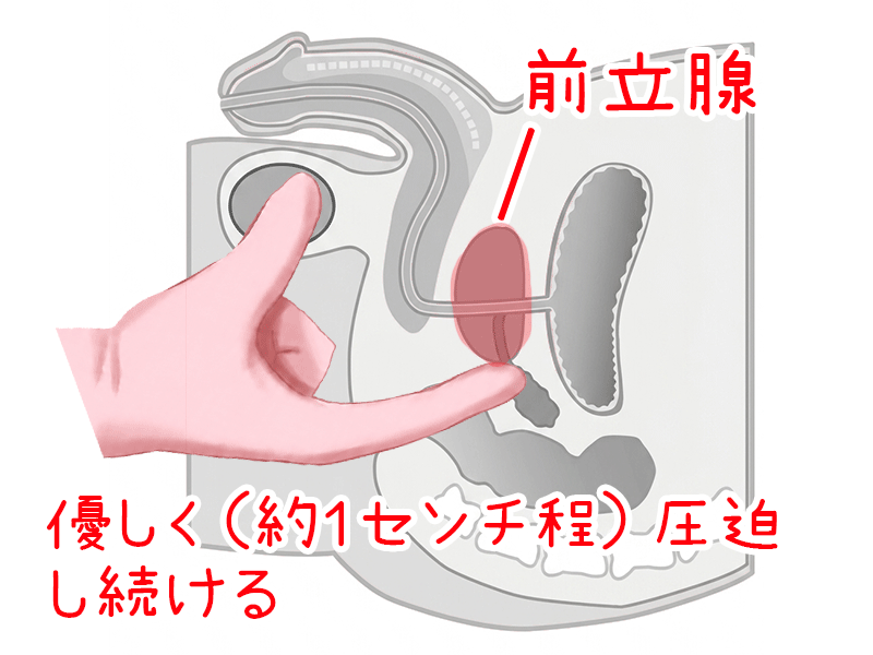 前立腺を指、またはグッズで優しく圧迫し続ける