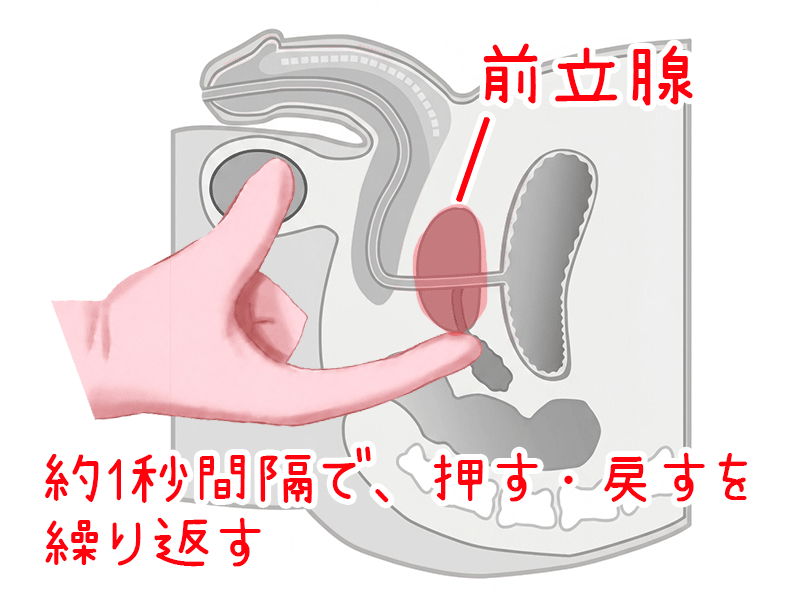約1秒間隔で、押す・戻すを繰り返す