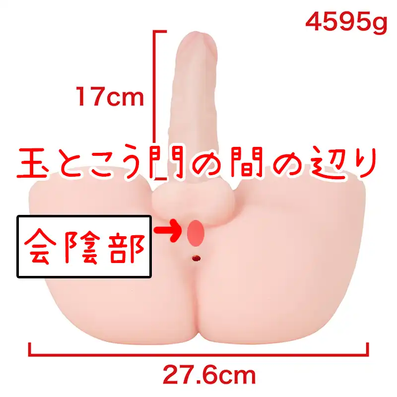会陰部は性器と肛門の間辺りの場所を指す画像