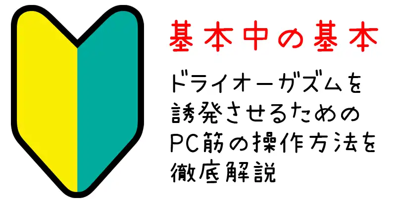 ドライを誘発させるPC筋の操作方法アイキャッチ画像